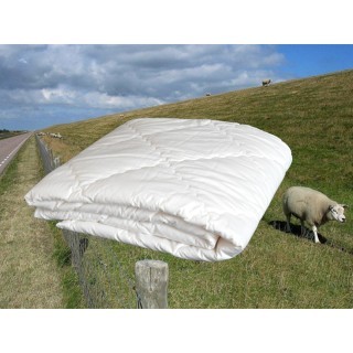 Texeler Multikeus Zomerdekbed