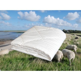 Texeler Multikeus Hoogzomerdekbed