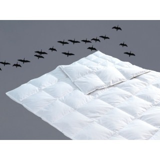 Duo-4-seasons Baltica