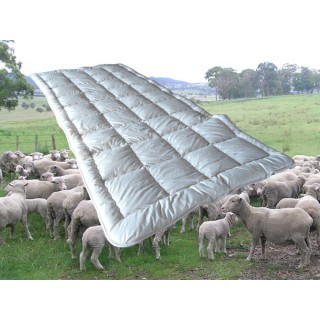 Merino wollen onderdeken - Vogtland