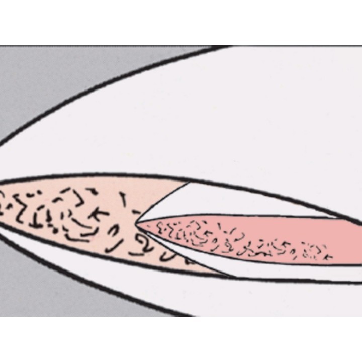ARO® Dubbelkussen extra stevig