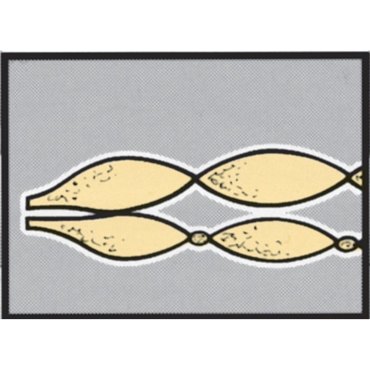 Duo-4-seasons Snowgoose®