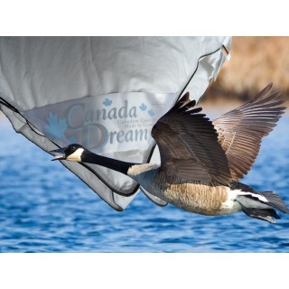 Canada Dream All year