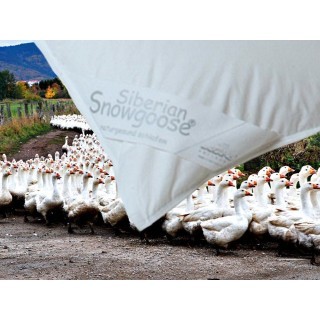 ARO® Snowgoose® All year