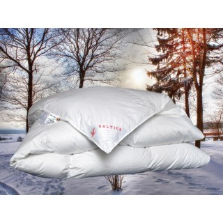 ARO® Hochsteg Baltica