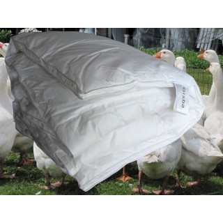 Pilsener winter kinderbed