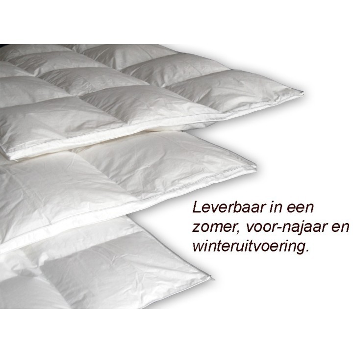 Pilsener alle leverbare typen