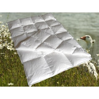 Pilsener 4-seizoenen dekbed