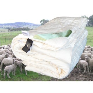 4-seizoenen Merinowollen dekbed - Erzgebirge - hoofdfoto