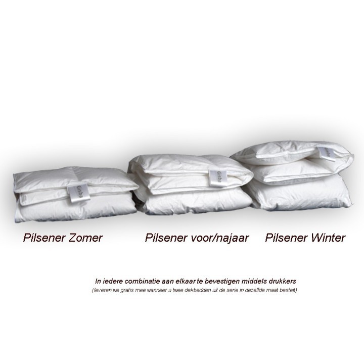 Pilsener alle leverbare typen