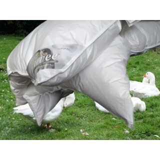 ARO® Hochsteg Cassette