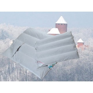 Vier seizoenen donzen kinderdekbed