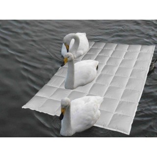 Sommertraum Snowgoose®