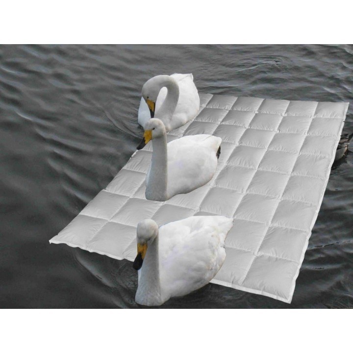 Sommertraum Snowgoose®