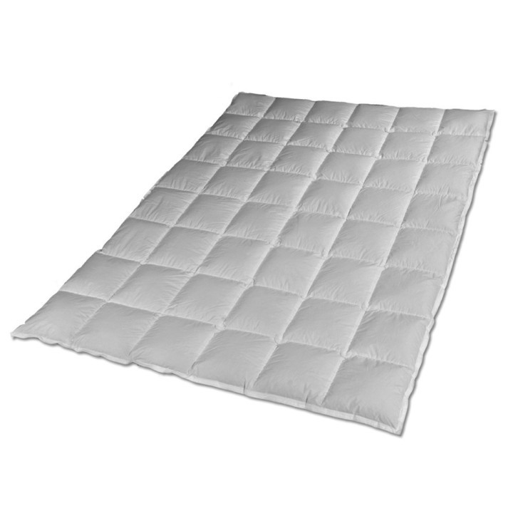 Sommertraum Snowgoose®