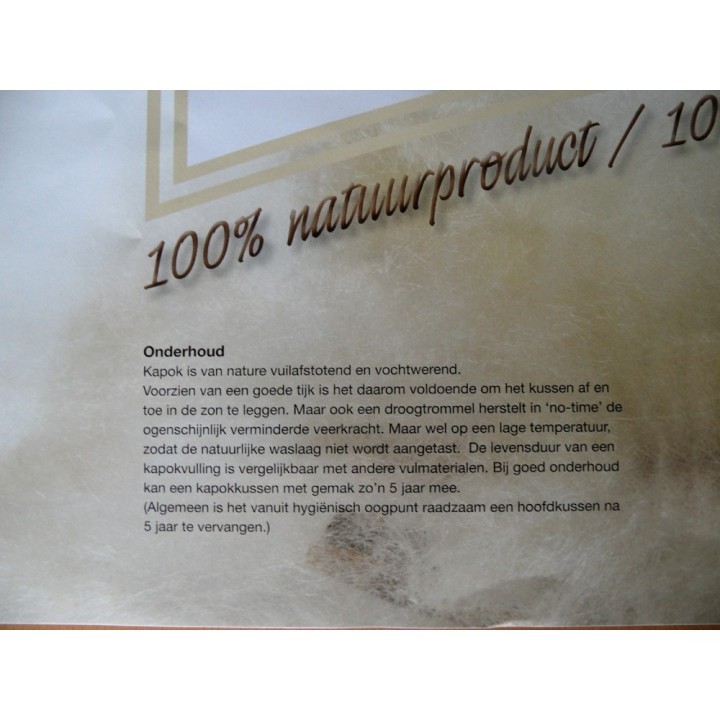 Kapok Hoofdkussen