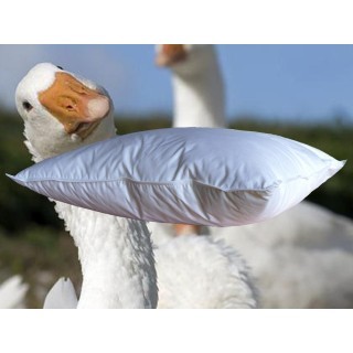 Siberia Noblesse Hoofdkussen