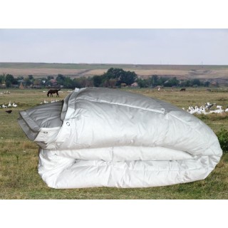 Duo-4-seasons Roemeens dons