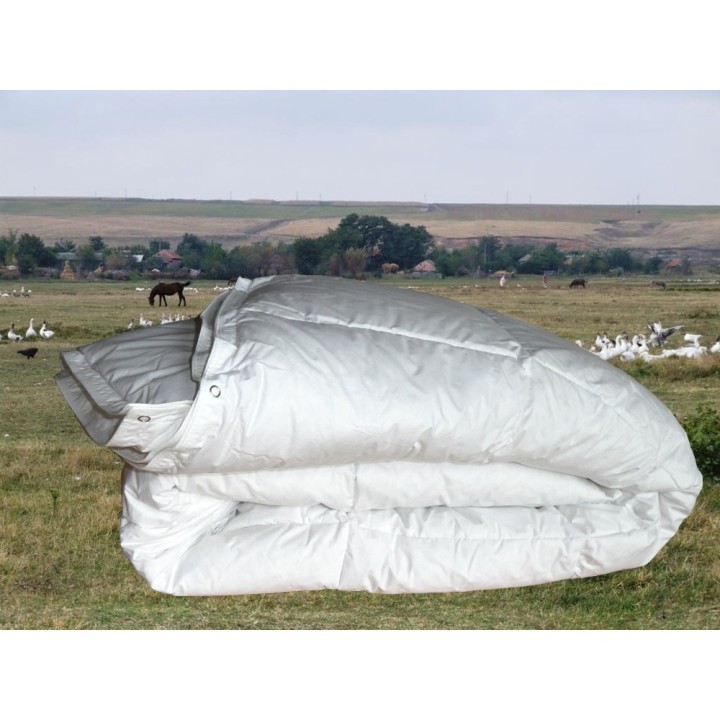 Duo-4-seasons Roemeens dons