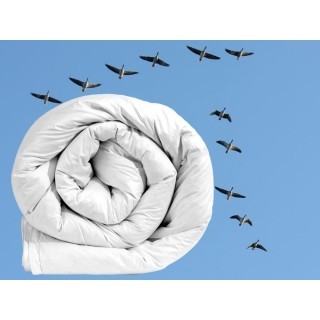 Duo-4-seasons Canada Dream