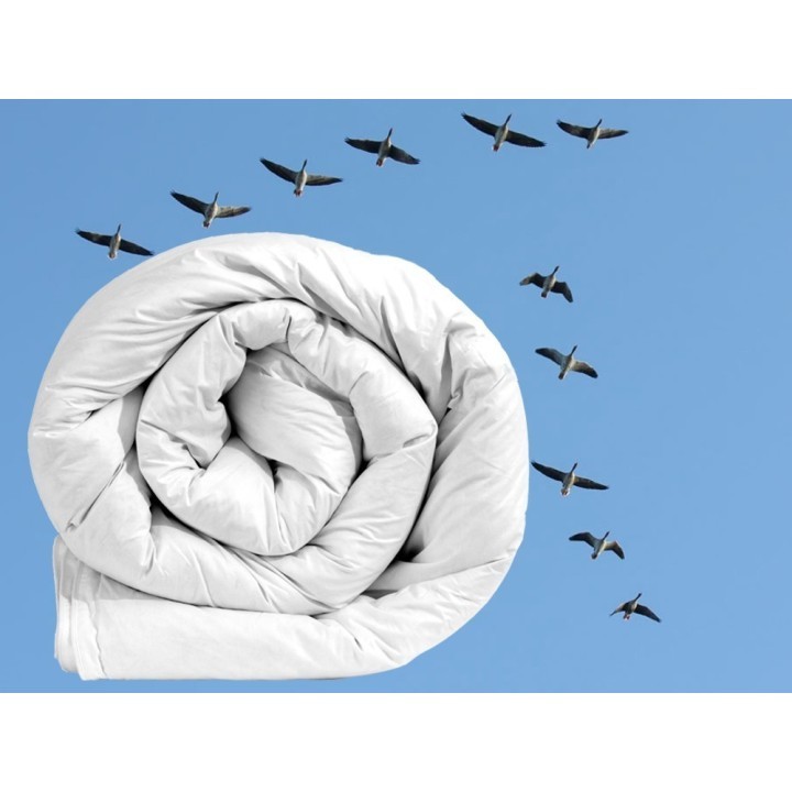 Duo-4-seasons Canada Dream