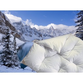 Noblesse donzen winterdekbed