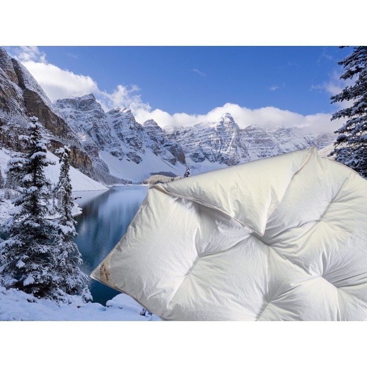 Noblesse donzen winterdekbed