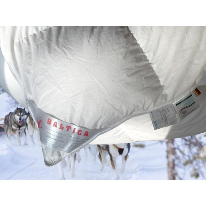 Baltica Cassette Light