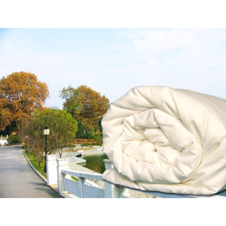 Shengkun zijden (all year) dekbed