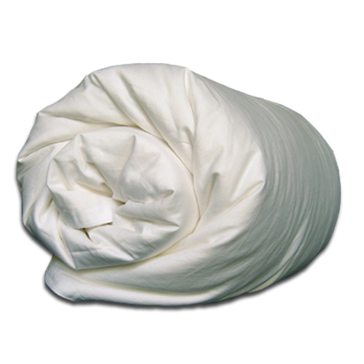 Shengkun winterdekbed - 450 gram/m2 grade AAA machinaal gelegde moerbeizijde in katoenen inlet