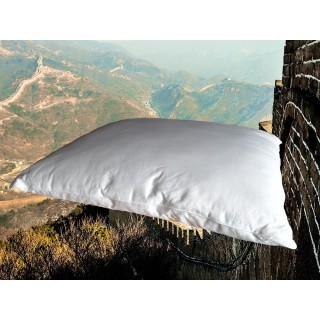 Zijde/Polyester kussen