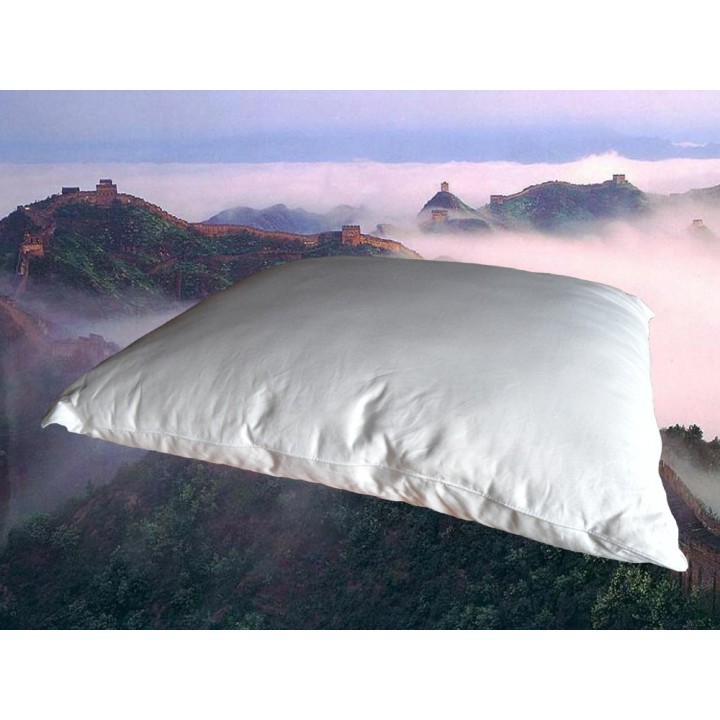 Zijde/Polyester kussen