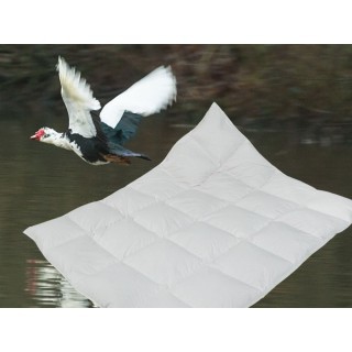 Wild Siberian Duck - zomerdekbed