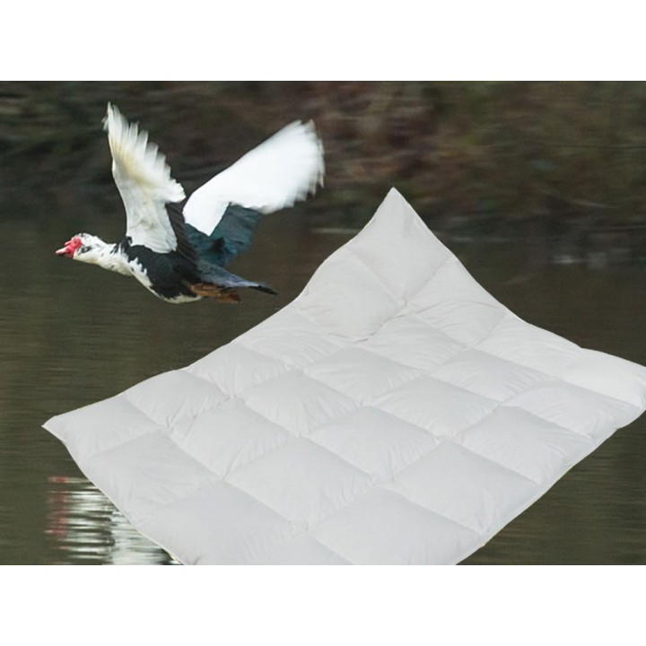 Wild Siberian Duck - zomerdekbed