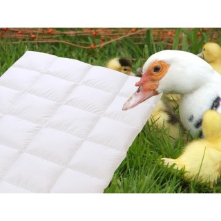 Wild Siberian Duck - all year dekbed