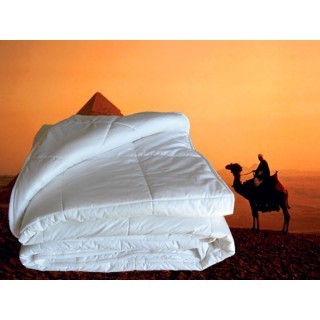 Kameelharen (all year) dekbed - hoofdfoto