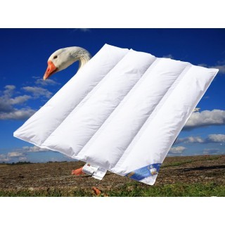 Noblesse donzen zomerdekbed voor baby, peuter of kleuterbed