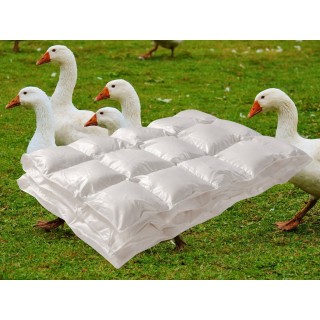 Zomerdonsdekbed met keuze uit verschillende tijkstoffen