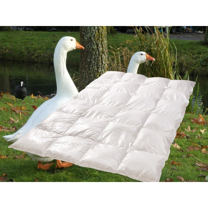 Donzen all year dekbed met keuze uit verschillende tijkstoffen