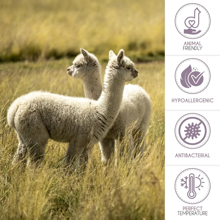 Alpaca Plaid - 100% Alpaca wol