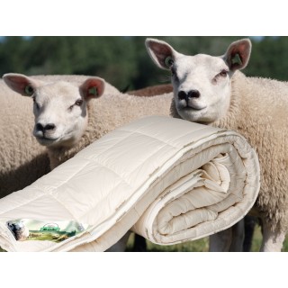 Texeler wasbaar wollen 4-seizoenen dekbed