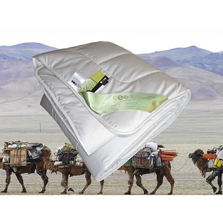 Kameelharen winter-plus-dekbed - Kairo duo