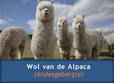 Wol van de alpaca voor een heerlijk dekbed