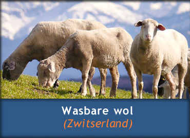 Schapenwollen dekbed - Wasbare wol